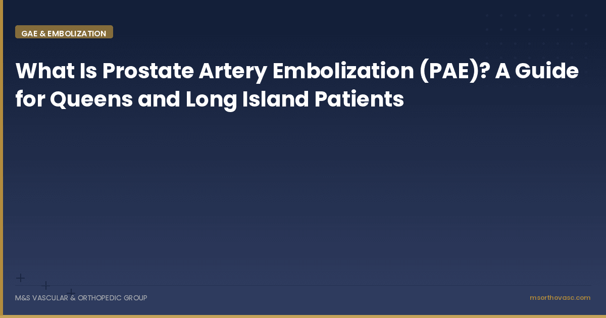 What Is Prostate Artery Embolization (PAE)? A Guide for Queens and Long Island Patients